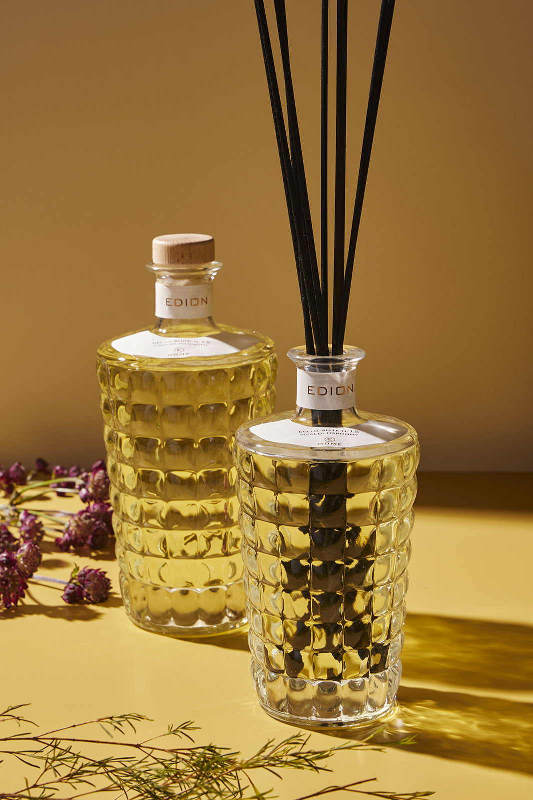 Cello suite n.15 Vivaldi harmony