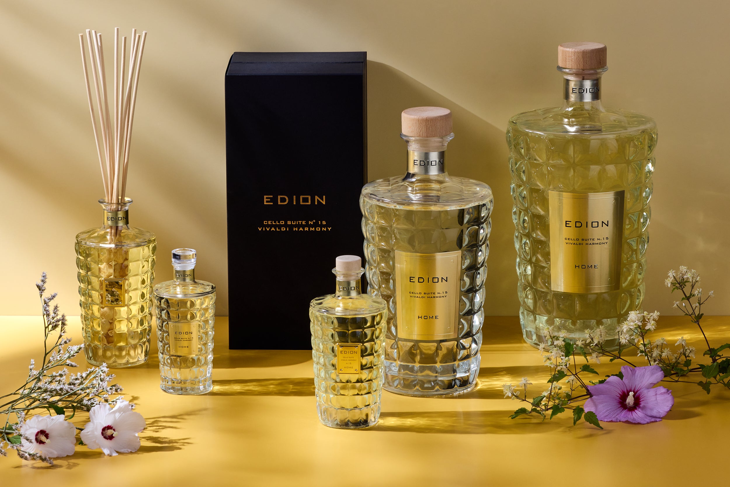 Cello suite n.15 Vivaldi harmony 